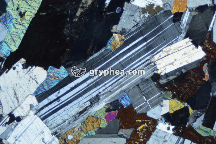 Plagioclase dans gabbro LPA x6,3 - gryphea.com